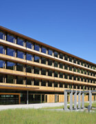 Projektgeschäft Holzbau