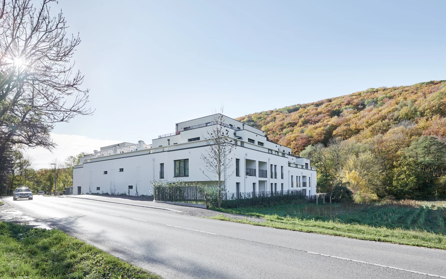 Mauerbach_2613 Mauerbach_2613