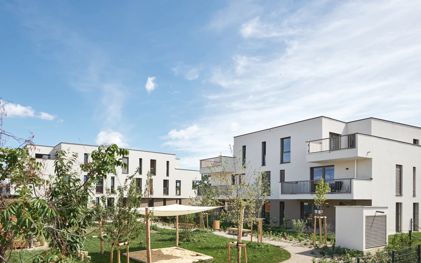 Leovita_1517 Leovita_1517