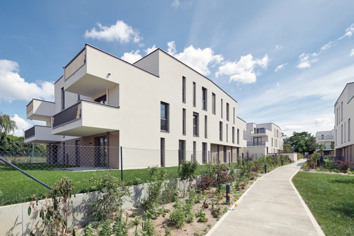 Leovita_1541 Leovita_1541